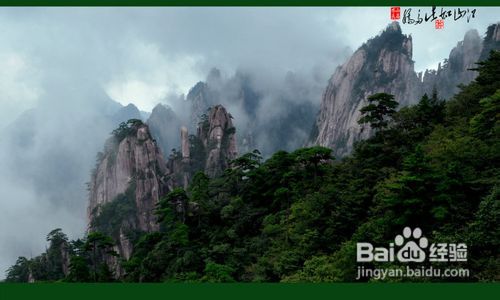 Day2：黄山风景区！累死老娘了！