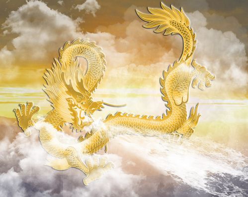 二、生肖中的“龙象之势”