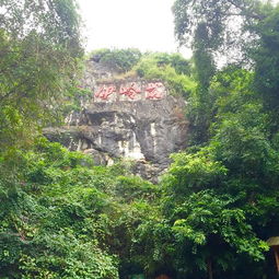 徒岭景区怎么走？