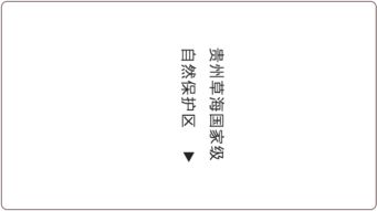 七、出生于十九日：才华横溢