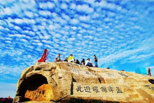 行业乱象触目惊心
