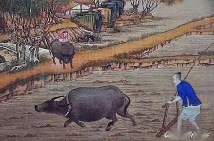 牛地葬法,葬在牛地风水好坏