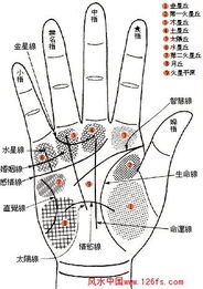 手相里那条神秘的事业线——到底是啥玩意儿？
