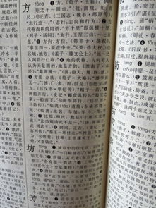 这字咋读啊？