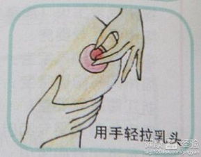 2. 吸奶器魔法——现代化女性群体的救星？