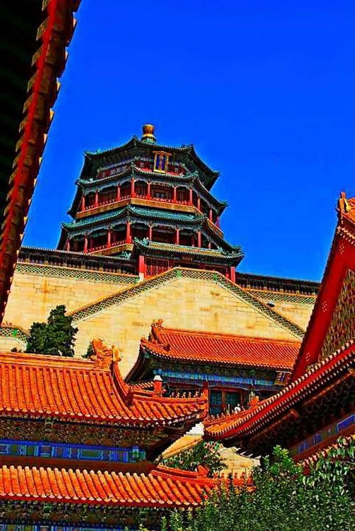 网红视频背后不敢拍下去的一幕