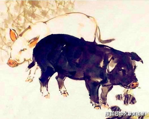 财运运势——钱袋子鼓鼓还是瘪瘪？