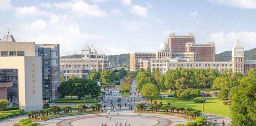 二、 就业前景——从“实习”到“脱岗”的奇妙旅程