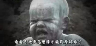 一、那些被遗忘的小可怜们