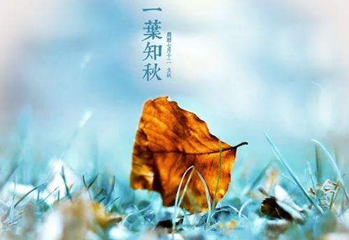 二十四节气与命理的交织