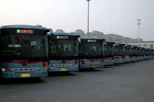 旅游攻略：如何乘坐15路游览合肥的隐秘角落