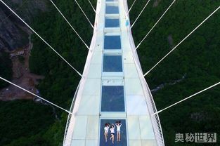 噪音警报——风声、 鸟叫、还有你心里“咚咚”的鼓点