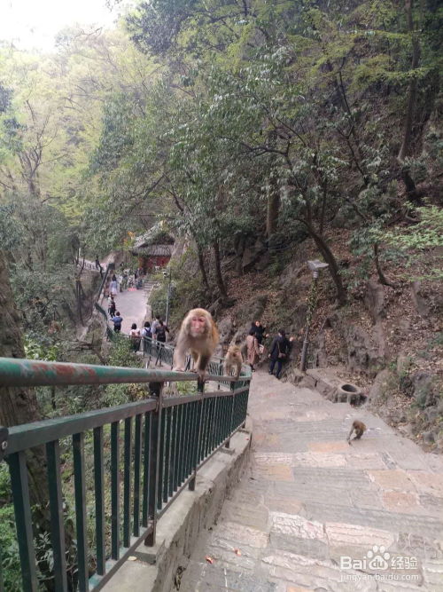 二、第一天：黔灵山公园与偶遇古怪咖啡馆（1）