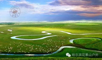 八、随机插入广告&噪声（必须有）