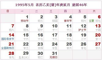 猪猪今日生存手册