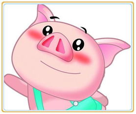 丑时出生的属猪男孩命运究竟如何，是不是忒别吉祥？