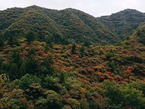 仙台山：一个被遗忘的仙境？