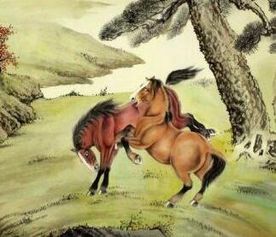3. 改名风水技巧：让姓名助力你的良好运
