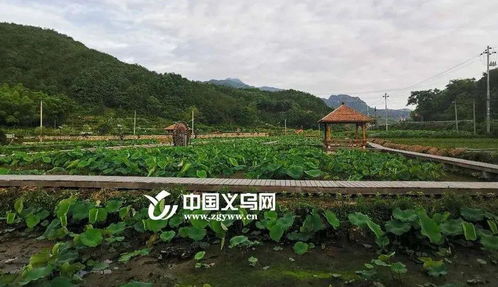 景点？呵呵，就这？