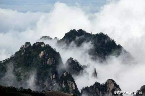 随机碎片式叙事（请自行拼凑）