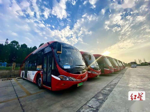 规划你的古城之旅