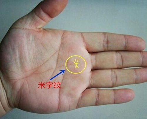 自带美颜滤镜的手相