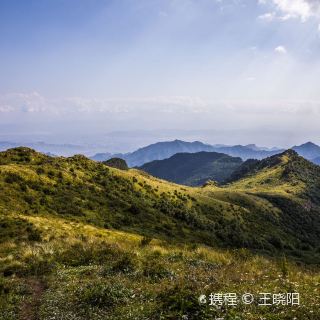 免费区才是yyds！景区都是大猪蹄子
