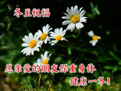 皆大欢喜的生肖是什么？这个成语打一准确的生肖是什么意思？