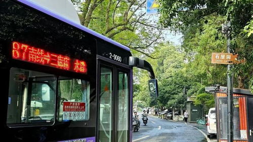 公交攻略！87路竟然暗藏玄机