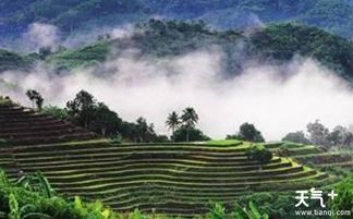 位置绝了！藏在山沟沟里的宝藏