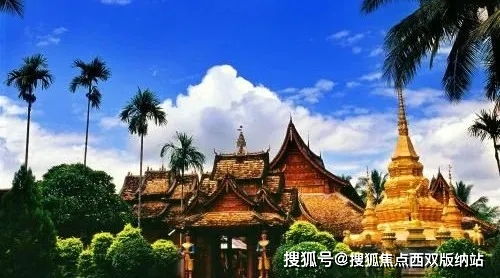 四、炎热带雨林：探索天然的奥秘