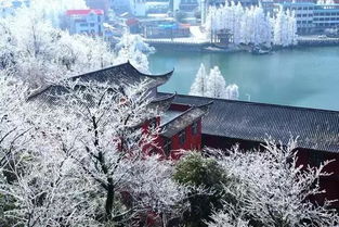 雾凇与冰挂：较大天然的鬼斧神工