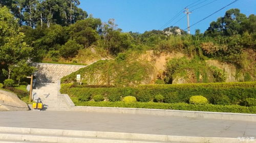 生态公园：一场噩梦