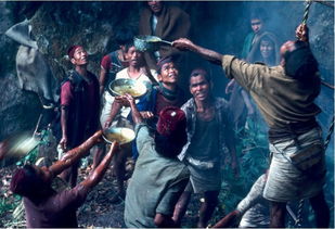 二、 龙年与猎户座的暗流