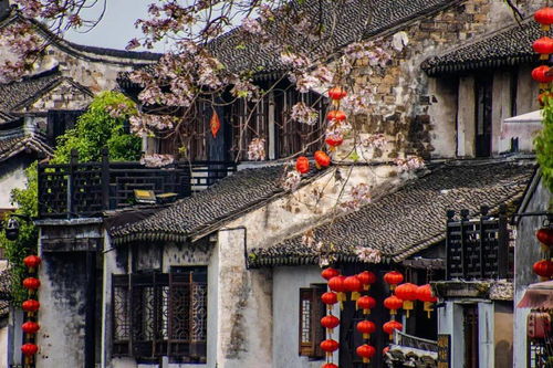 三、 古村新游，春日探秘