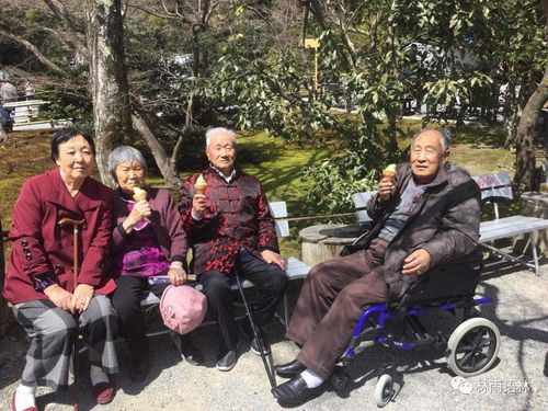 一、 老照片里的“回声”