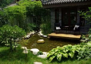 樱花树种在房子的什么位置好,樱花住宅种植风水