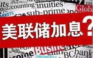 玩法升级：与天然对话