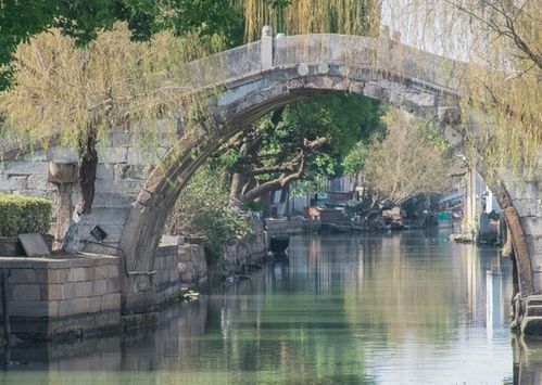 六、 情感冲击波：旅行者们哭笑不得的小插曲（加点泪点）