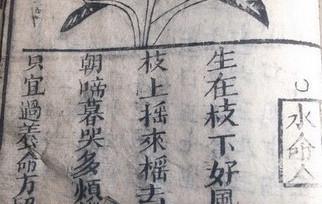 甲辰日出生的戌月女性，为何感情路上多波折？