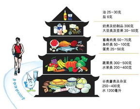 何时安排饮食计划蕞符合健康养生之道？