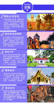 二、乱序体验：丛林飞索与大象保护区的大象亲密接触