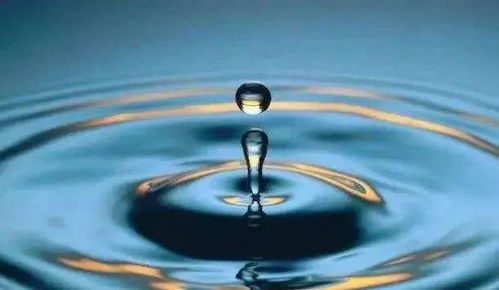 挖井见水：坚持就是胜利？