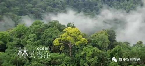 风水山地,土形山风水大地的风水特征