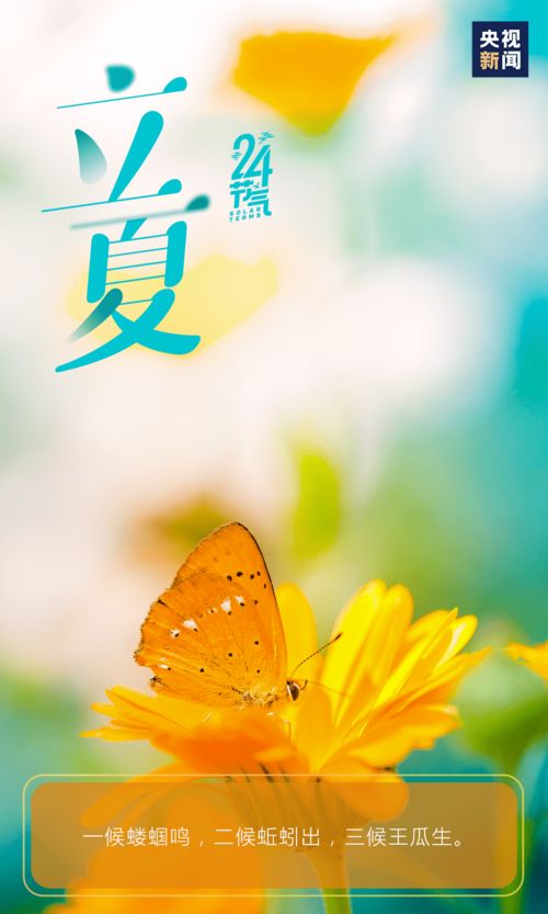 立夏风俗盛宴，夏日序曲，爆款来袭！