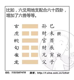 基因对八字命理的预测结果有影响吗？这是否揭示了遗传与命理之间的神秘联系？