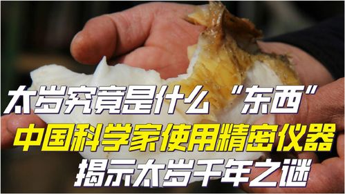 太岁到底是个啥玩意儿？