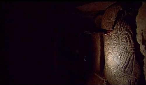 偶然发现的异象