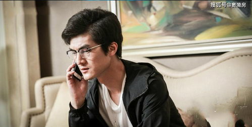 刘男是哪部电视剧的演员？