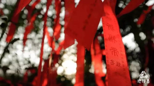四、祭祀仪式—如何把仪式搞得像一次派对？🤪🤪🤪
